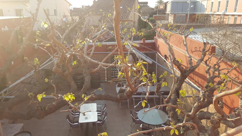 Pension Avenida Vilafranca del Penedès Eksteriør billede